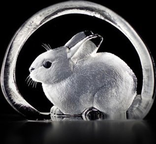 miniatuur konijn Maleras crystal